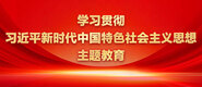 操我啊啊啊观看学习贯彻习近平新时代中国特色社会主义思想主题教育_fororder_ad-371X160(2)